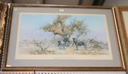 After David Shepherd - 'Zebras and Colony Weavers', 20th Century colour print, signed in pencil, within a gilt frame.