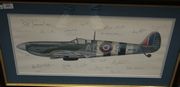 A colour print, Profile Study of Spitfire Mk IX ACS MH 434, signed in ink and pencil by twenty-four Battle of Britain veterans, including Peter Townsend, Johnnie Johnson, John Cunningham, Bob Stanford Tuck, Geoffrey Page, B. Doe and H. Bird-Wilson, approx 28cm x 68cm, within a wood frame, together with a colour print after Robert Taylor, 'First Combat' (Don Kingaby's 266 Sqn. Spitfire pursuing a Damaged JU88), signed and editioned 538/990 in pencil to mount by the artist and Don Kingaby, approx 38cm x 52cm, within a wood frame, and six colour photographs of GP/CPT. Desmond Sheen, W/CDR. Peter Parrot, A.V.M. Johnnie Johnson, A/CDR. Alan Deere, G/CPT. John Ellis and Air Marshall Sir Christopher Foxley Norris, all taken in later life. 