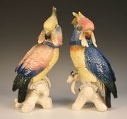 A matched pair of Karl Ens porcelain models of cockatoos, each bird with colourful plumage perched on a white glazed branch, blue printed marks to bases with impressed numerals, height approx 34cm.