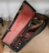 An Italian mandolin with inlaid decoration, bearing label inscribed 'Ferdinando Lapini.... Napoli' to interior, cased.