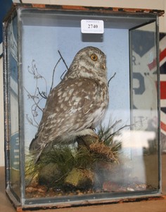 LOT 2740