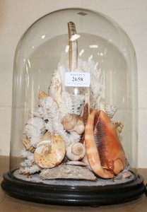 LOT 2658
