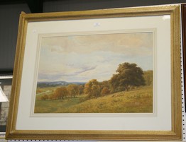 LOT 155