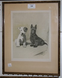 LOT 208