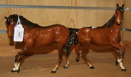 LOT 1557