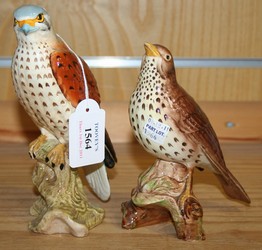 LOT 1564
