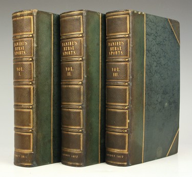 LOT 3146