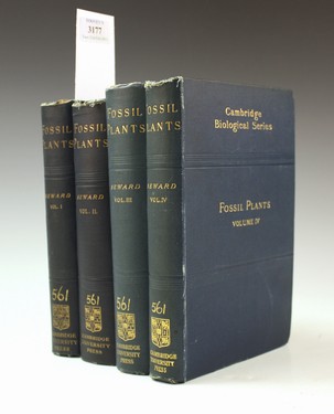 LOT 3177