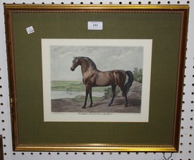 LOT 153