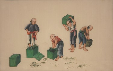 LOT 1264