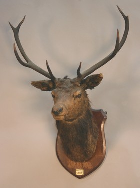 LOT 2637