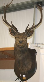 LOT 2638