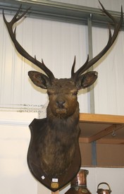 LOT 2639