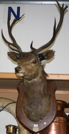 LOT 2640