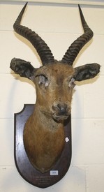 LOT 2644