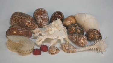 LOT 2728