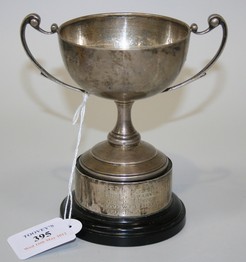 LOT 395