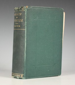 LOT 3249