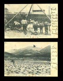 LOT 3082