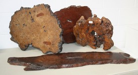 LOT 1110