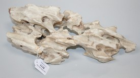LOT 1118
