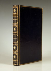 LOT 3135