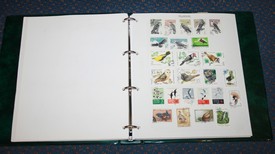 LOT 3023