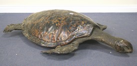 LOT 2668