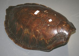 LOT 431