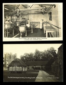 LOT 3113