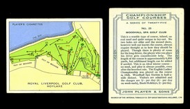 LOT 3127