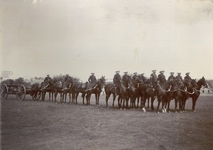 LOT 3176