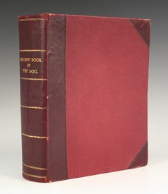 LOT 3165