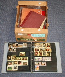 LOT 3051