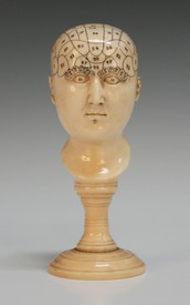 LOT 895