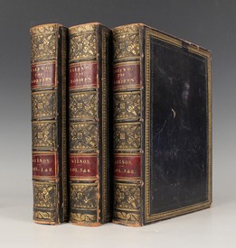 LOT 3078