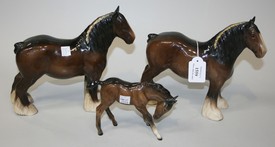 LOT 1559