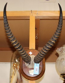 LOT 2694