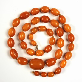 LOT 645