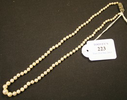 LOT 223