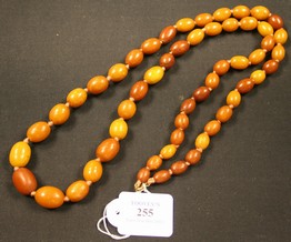 LOT 255