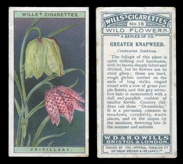 LOT 3250