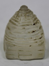 LOT 1237