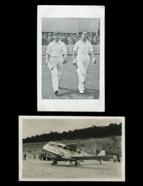 LOT 3191