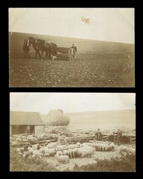 LOT 3232