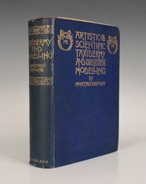 LOT 3132