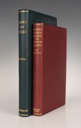 LOT 3138