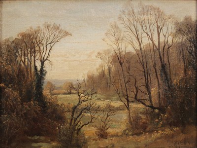 LOT 50