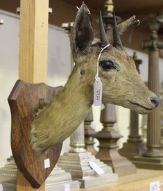 LOT 2737