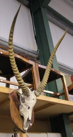 LOT 2740
